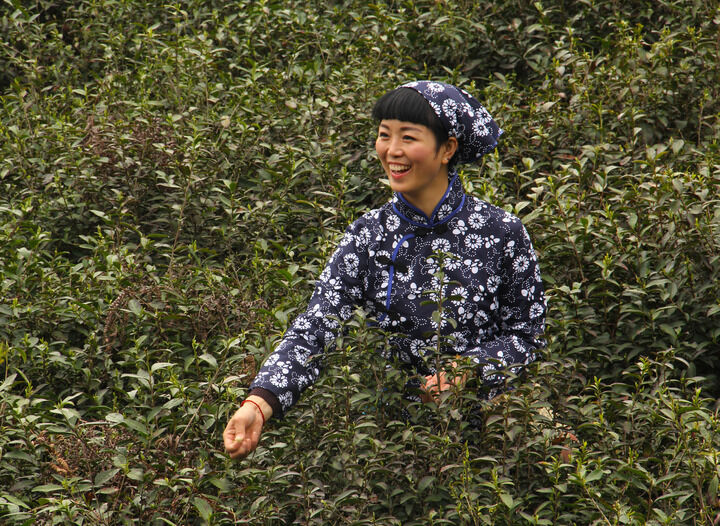 百丽直播 更新2